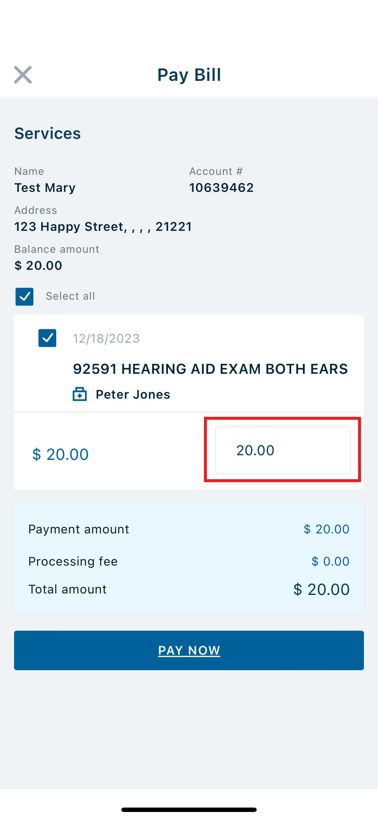 payment amount outlined.png