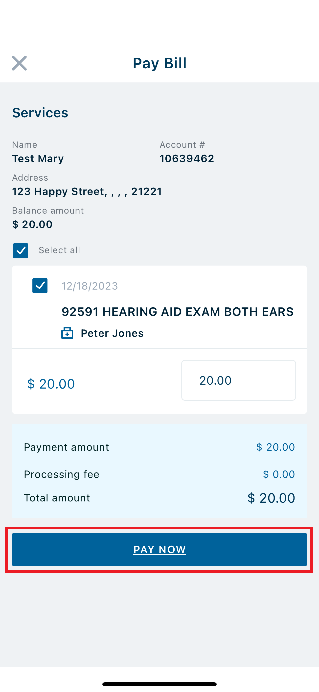pay now outlined.png